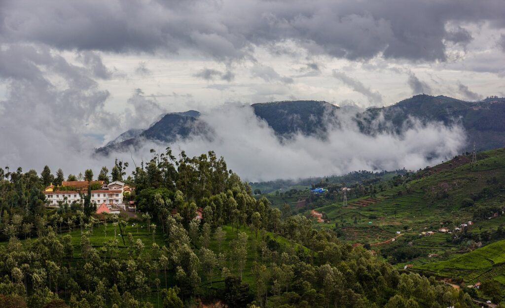 Most Scenic Road Trips in India % Tamil Nadu 2