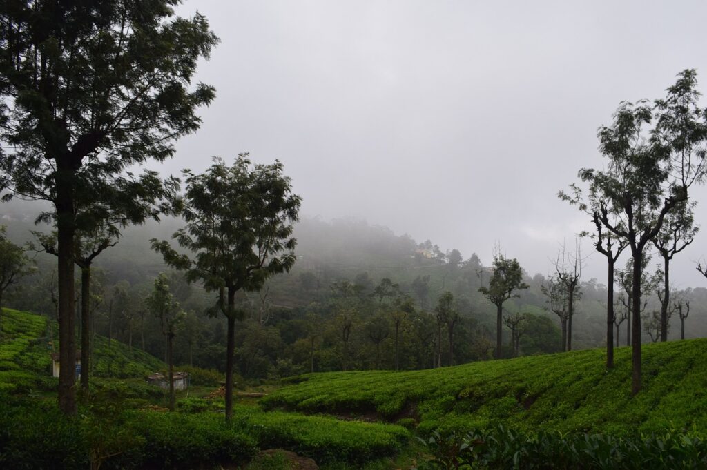 Most Scenic Road Trips in India % Town in Tamil Nadu 1
