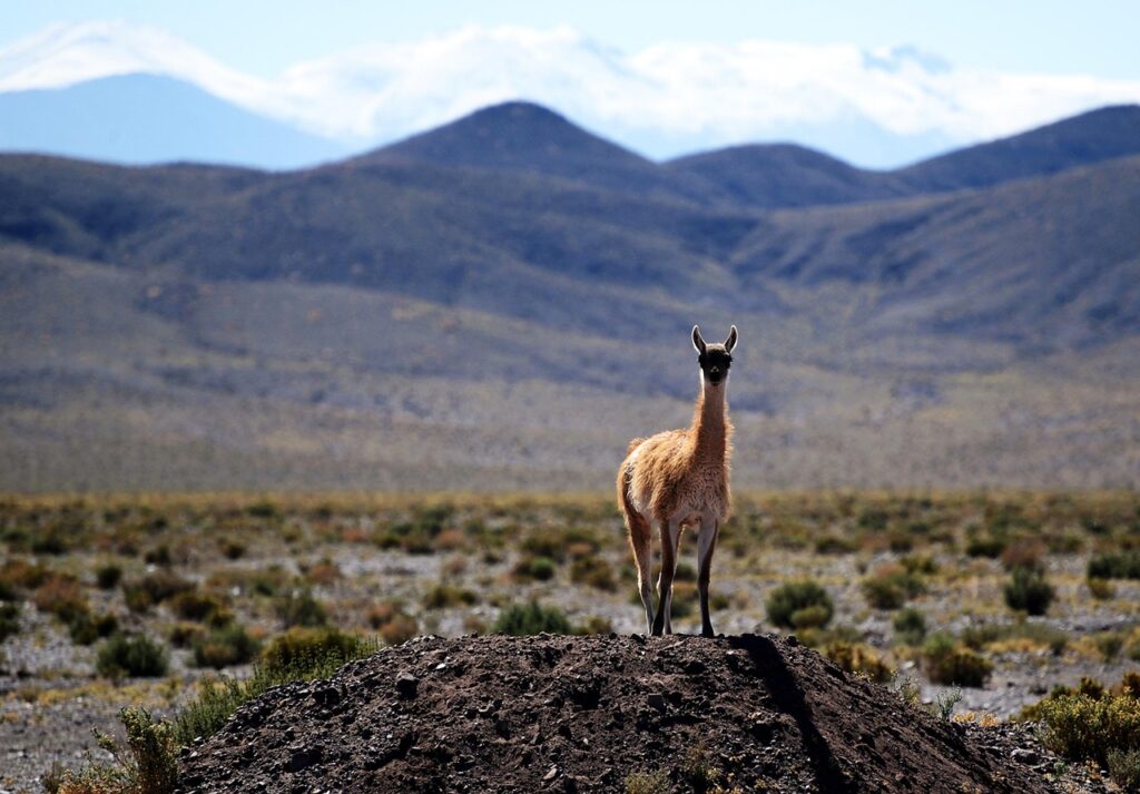 Hidden Destinations: Off-the-Beaten-Path Places to Explore % Aysen Region Chile 1