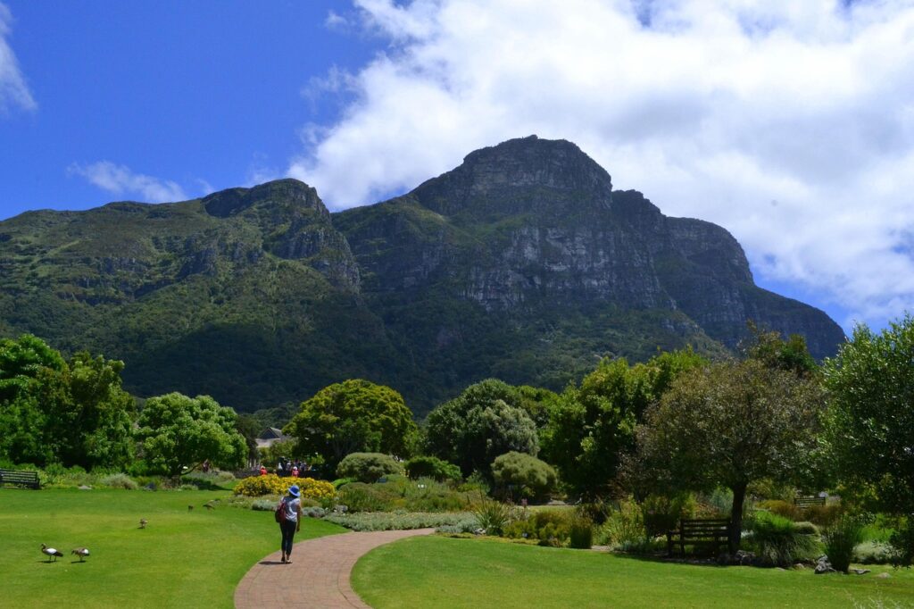 Cape Town 3
