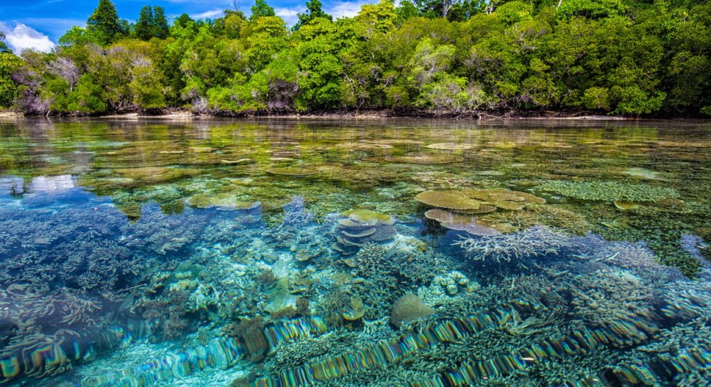 Hidden Destinations: Off-the-Beaten-Path Places to Explore % Raja Ampat Indonesia 4