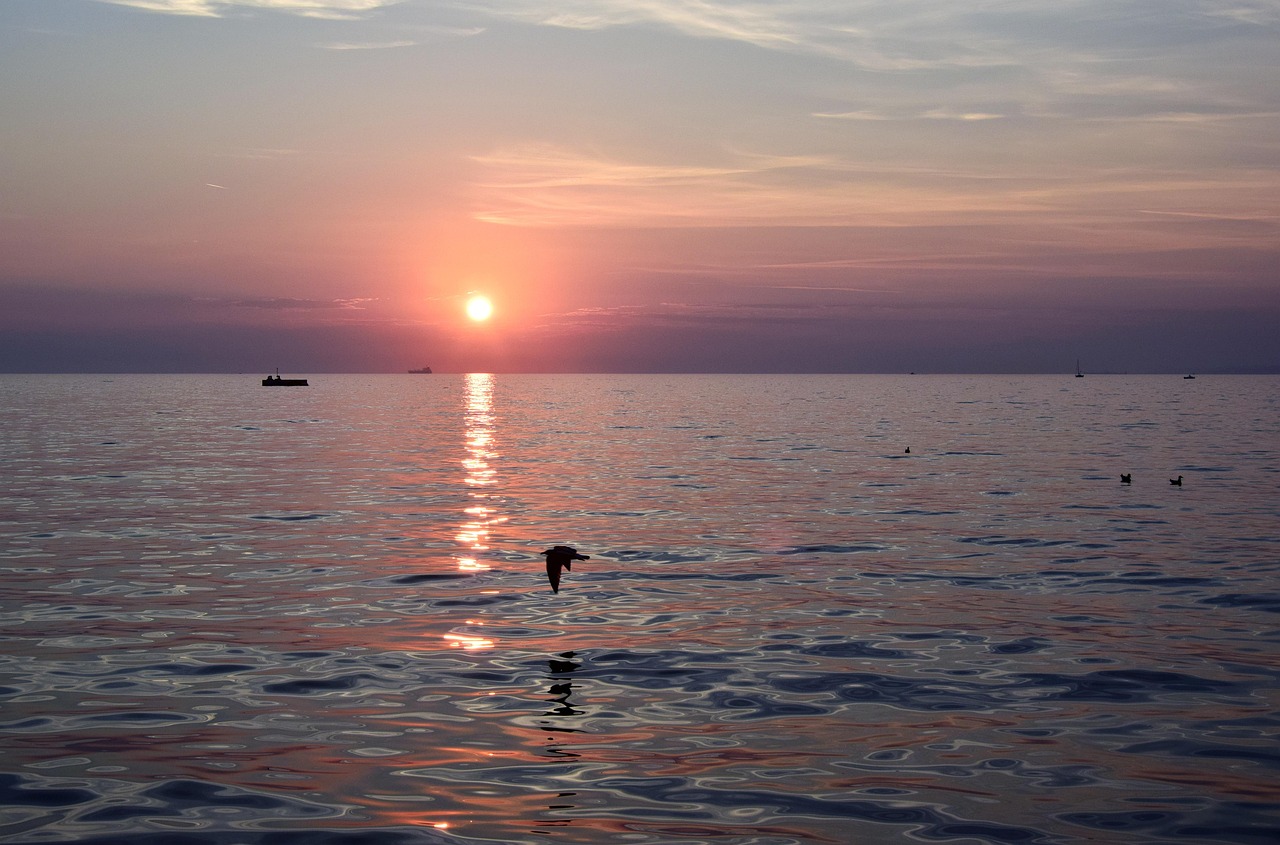 Trieste Trieste
