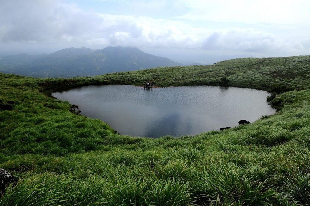 Wayanad 2