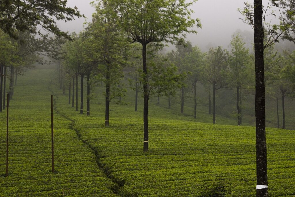Top and Best Travel Places to Visit in July 