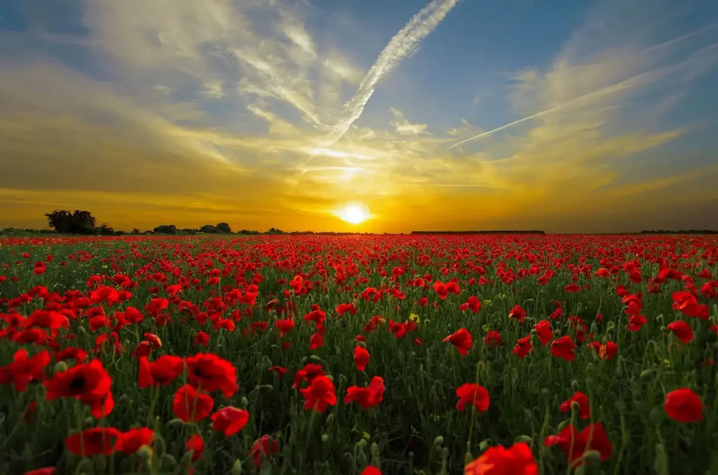 Best International Places to Visit in July 2025 % sunset 815270 1280